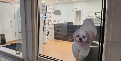 Lateral direita