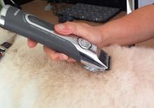 Corte à máquina