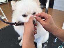 Limpeza de olhos